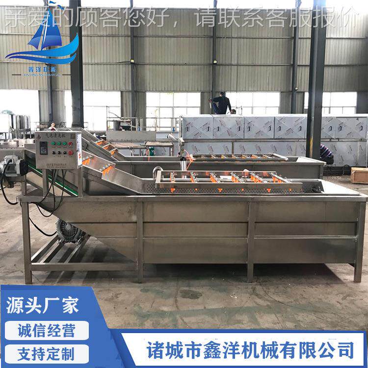 白灵菇蒲菜泡清洗机 芝麻叶冲浪喷淋洗菜NWG气机果蔬加工清洗水
