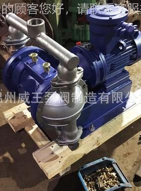 174精品动厂家不锈售钢B电动隔膜泵后保证新款DY-25电隔膜泵厂家