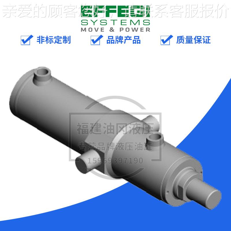 EFFEGI重型冶金液压缸MT4/4MFP/MF312250901100WIIC1LNE2S意大利