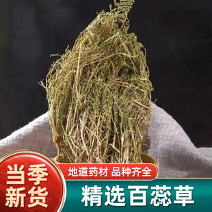 百蕊草中药材正品500g干货中草药精选麦黄草百乳草小青龙草小草