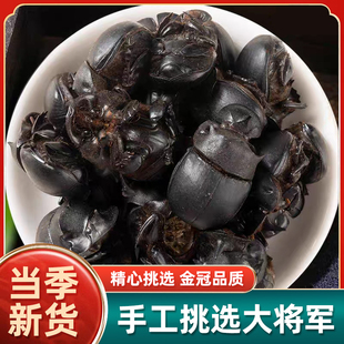 蜣螂中药材正品500g克野生屎壳郎圣甲虫子昆虫大将军清水蜣螂虫