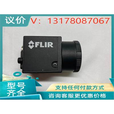 议价加拿大FLIR相机 BFLY-PGE-31S4M-C 201