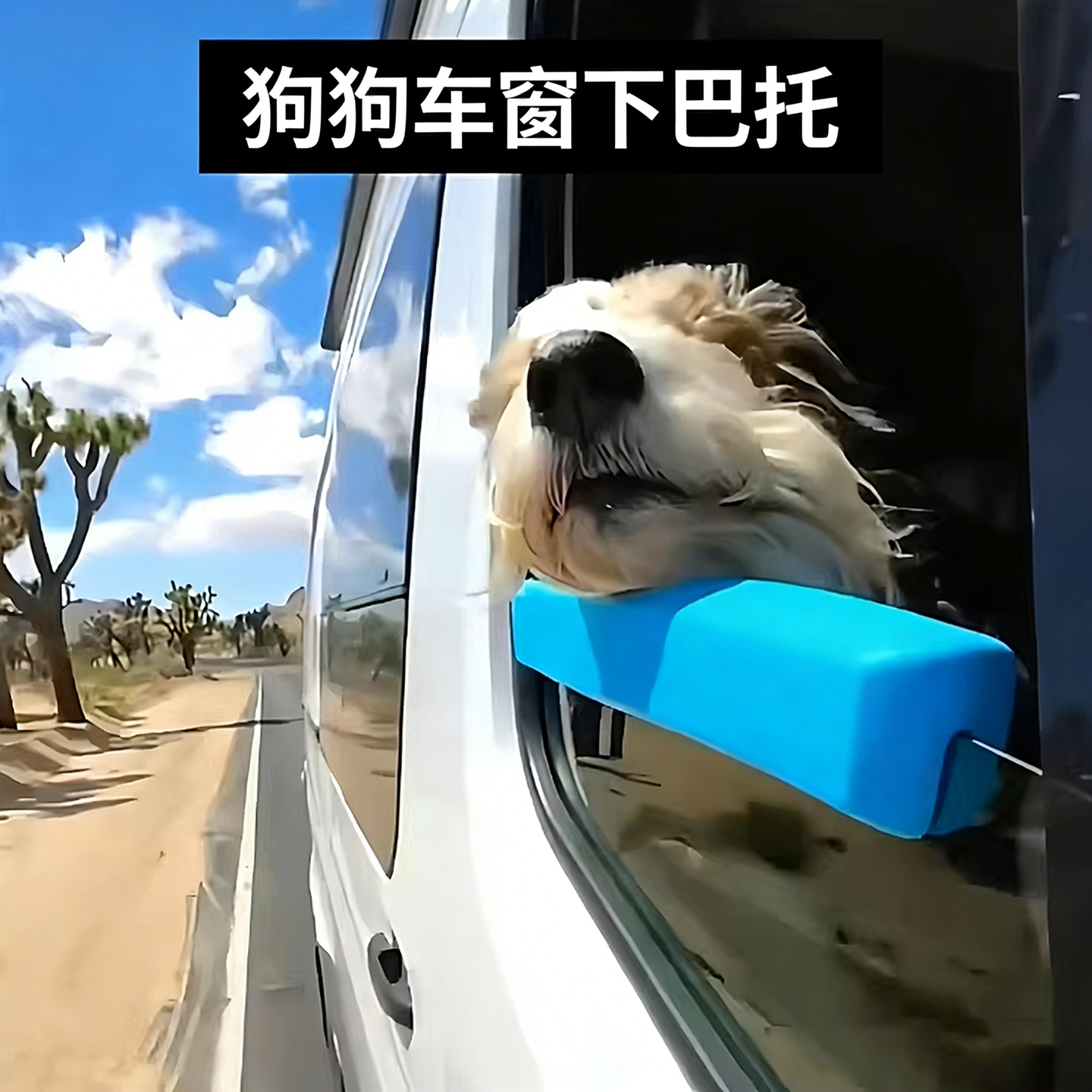 宠物车载下巴托防颠簸护车载通用