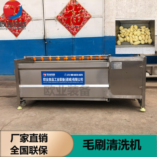 不锈钢耐磨毛辊土豆去皮机 蔬菜水果毛辊清洗机 毛辊清洗去皮机