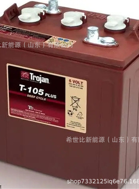 TROJAN邱健蓄电池T105PLUS堆高机升降机6V225AH观光旅游车动力型