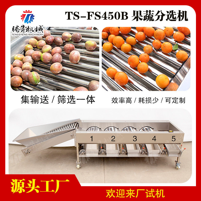 自动水果筛选机 筛选大小分级机 果场专用滚杠选果机 水果分选机