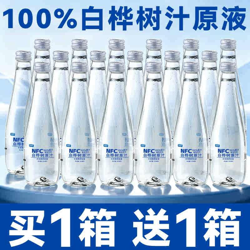 白桦树汁100%原汁无糖天然原液长白山白桦树汁纯木本植物饮桦树水