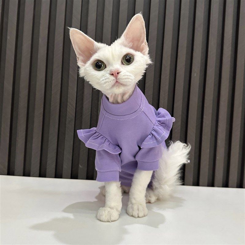 任发财紫色花边T恤无毛猫衣服德文衣服斯芬克斯猫夏季纯棉透气,宠物/宠物食品及用品,猫宠物服装/雨衣（新）,淘宝优惠券,粉丝福利购,淘宝优惠卷