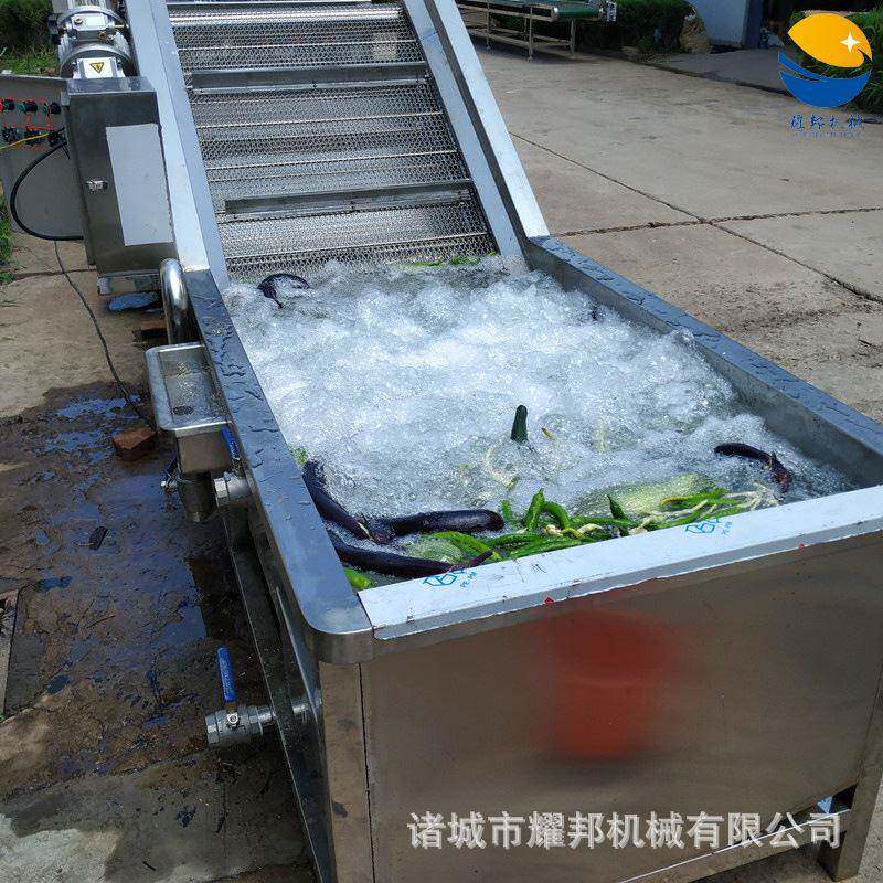 工厂黄瓜清洗线 智能网带气泡式茄子清洗机 自动连续苦瓜清洗设备