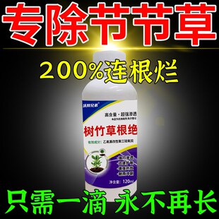 节节草克星e香附子节节草烂根剂菜地专用除草剂不伤苗除杂草一扫