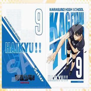 DeNA排球少年 垃圾场决战-文件夹影山飞雄