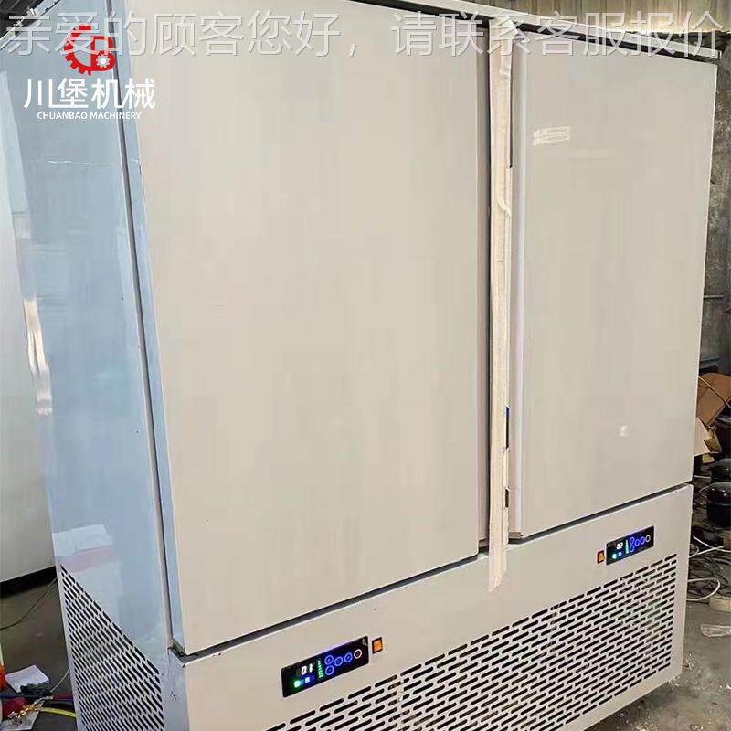 速冻柜冰箱商冷用0盘冰柜3插盘风冷无霜焙饺子烘急速冻机BCF45冻
