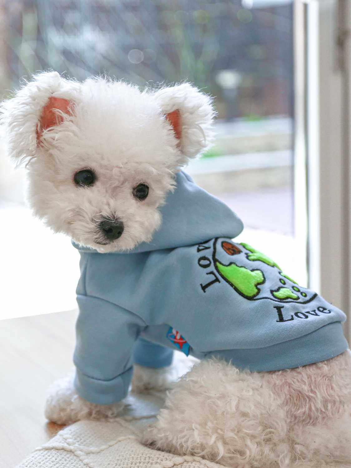 PETCIRCLE 宠物小狗狗比熊衣服卡通卫衣猫咪小型犬休闲蓝色两脚衣