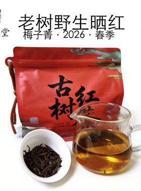老树野生晒红云南临沧梅子菁花果香甜红茶