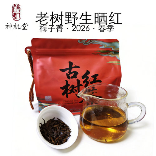 老树野生晒红云南临沧梅子菁花果香甜红茶