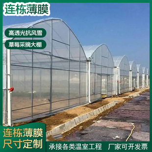 蔬菜大棚连栋拱形温室养殖大棚育苗采摘大棚遮阳连栋大棚厂家定制