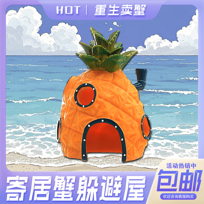 寄居蟹躲避屋大号小号爬宠窝