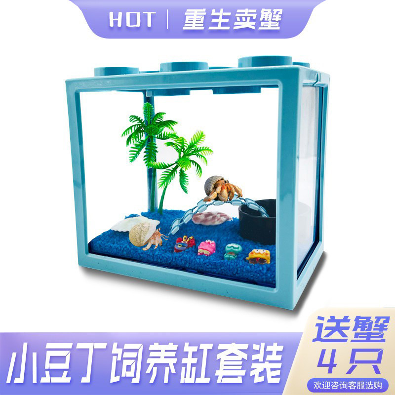 小豆丁寄居蟹套装~寄居蟹新手套餐饲养盒桌面萌宠儿童礼物