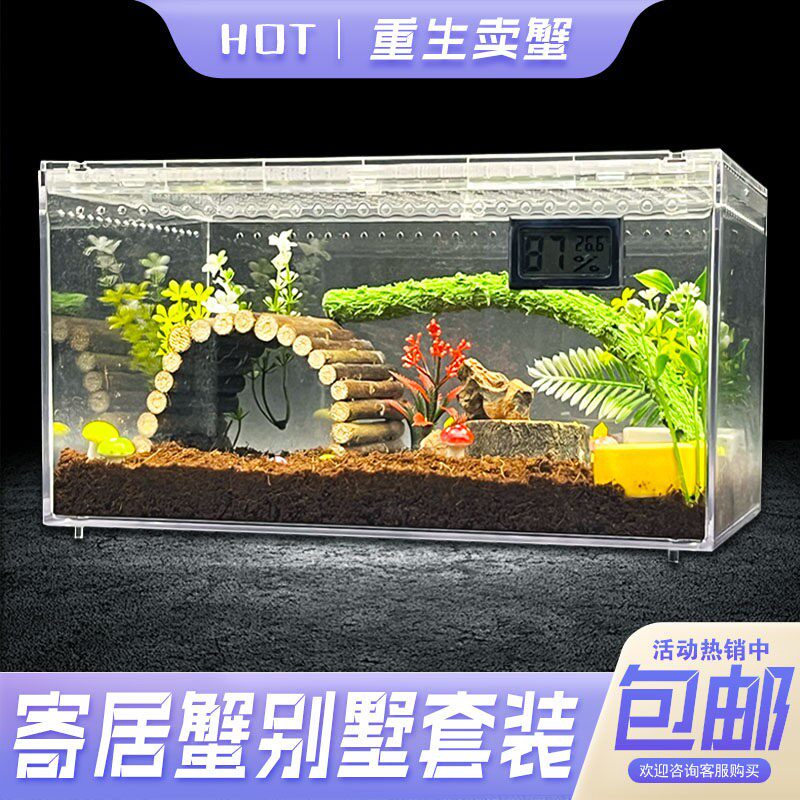 寄居蟹亚克力生态缸高透光新手进阶饲养箱造景亲子玩具塑料套装盒