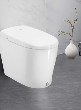 摩恩多功能智能马桶一体机坐便器305mm坑距含脚踢功能SW1512C