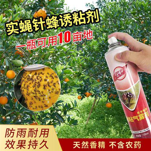 瓜果实蝇针蜂诱粘剂昆虫诱捕剂杀果蝇针蜂药引诱剂果园果蝇诱捕器