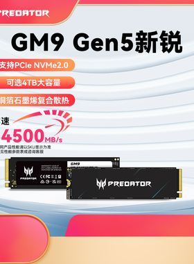 宏碁掠夺者 GM9 固态硬盘 M.2接口(NVMe协议) NVMe PCIe 5.0