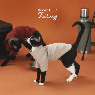 纳毛方式Tailwag温芯绒自发热宠物高领保暖打底 德文阿比猫衣服