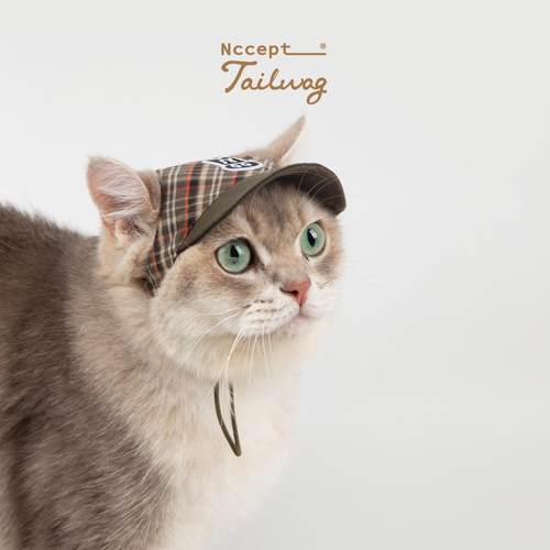tailwag宠物狗狗德文猫复古帽子