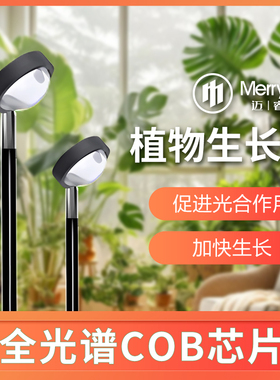 迈睿星植物补光灯彷太阳全光谱室内阳台落地植物专用生长补光灯