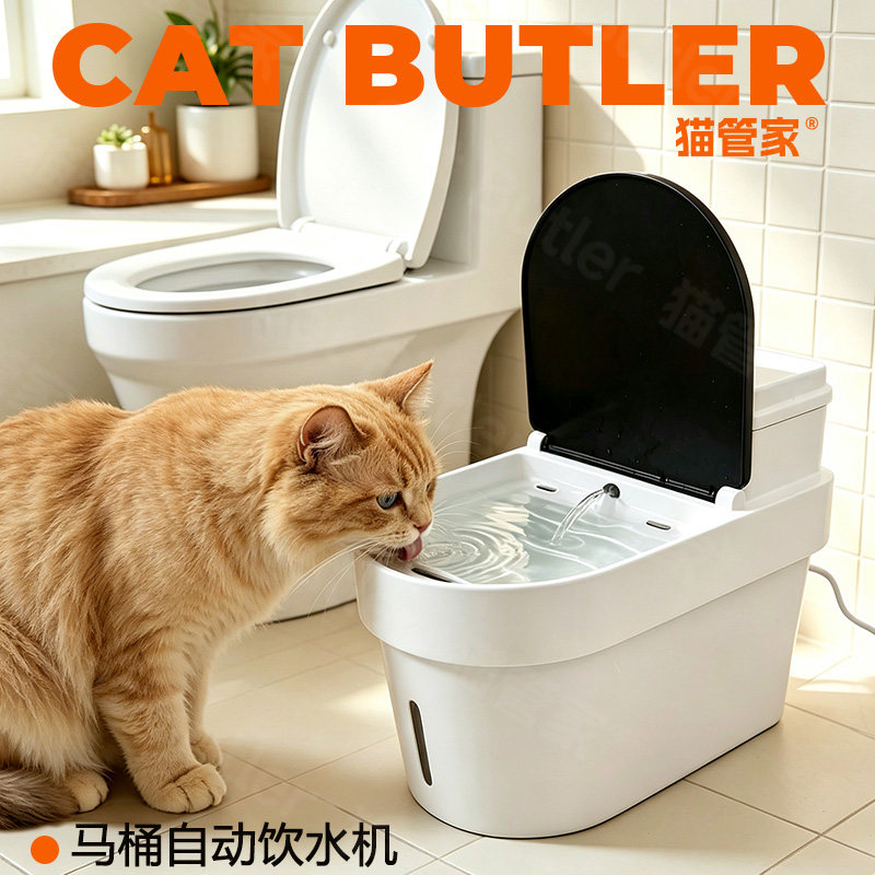 猫咪饮水机智能马桶宠物用品