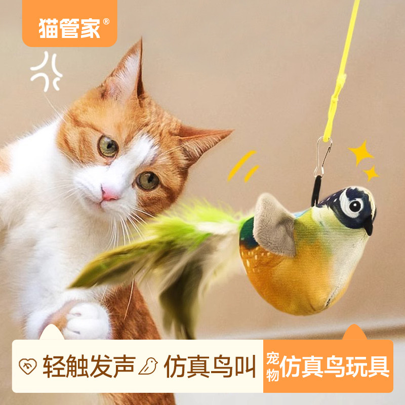 猫管家仿真鸟羽毛逗猫棒幼猫自嗨解闷神器猫咪玩具耐抓耐咬猫用品,宠物/宠物食品及用品,逗猫棒,淘宝优惠券,粉丝福利购,淘宝优惠卷