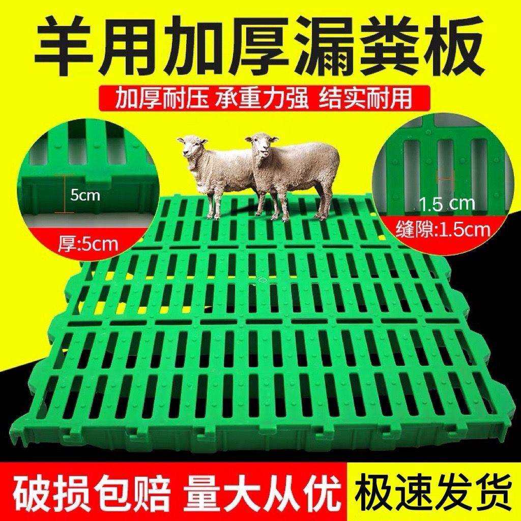 羊用漏粪板加厚塑料羊床羊圈用地板羊床板养羊专用接粪板羊漏粪板