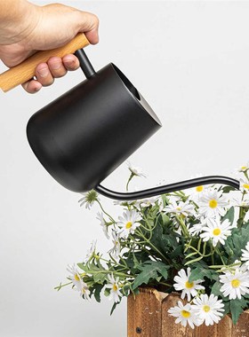 不锈钢喷壶浇花器北欧园艺日式家用F浇水壶黑色长嘴洒水壶木手柄
