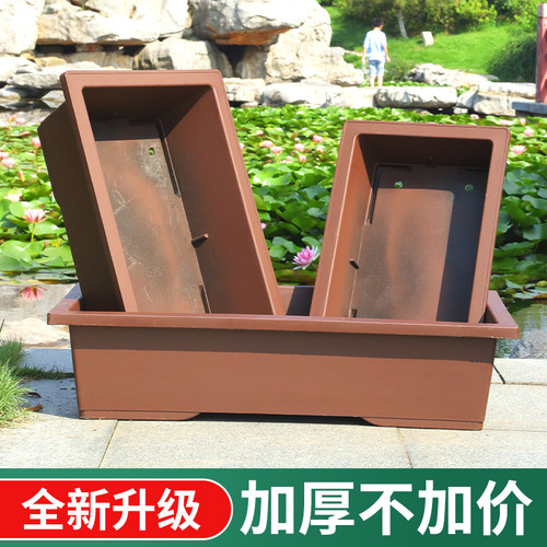 特大号长方形长条塑料盆景花盆仿紫砂户外庭院金弹子Y树桩专用花