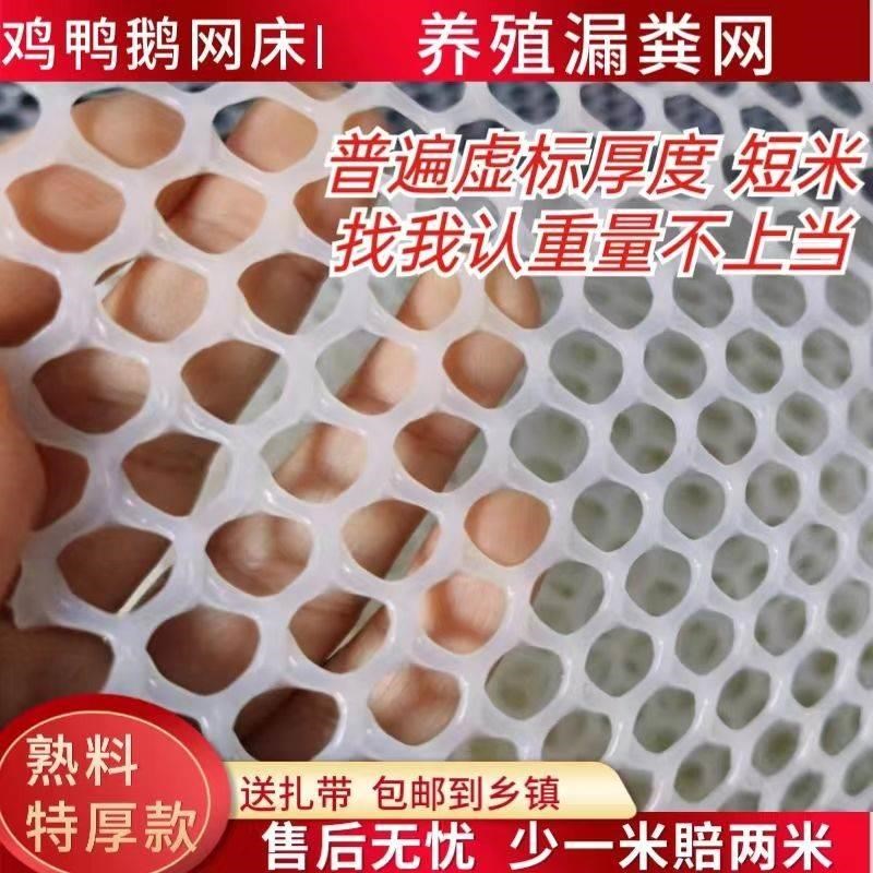 超厚50米塑料网格育雏漏粪网床脚垫鸡鸭鹅养殖围栏网阳台防坠网