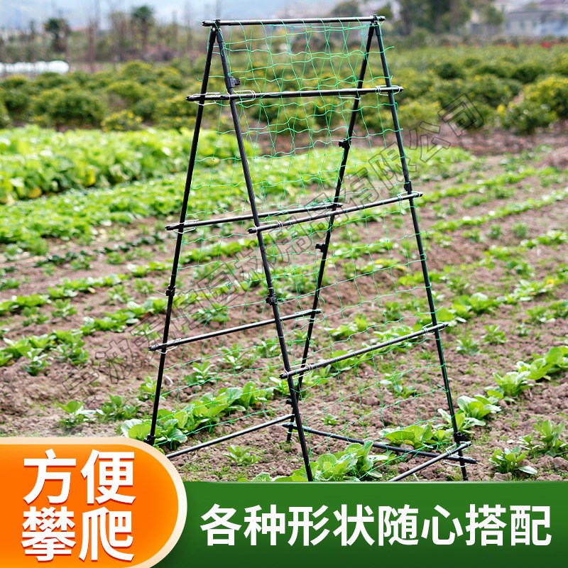 种菜园艺支架花盆葡萄支撑柱架子户外攀爬架室外盆栽庭院爬藤架子图片