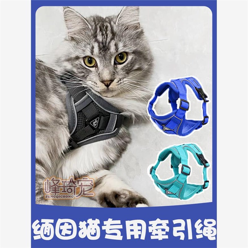 缅因猫牵引绳防挣脱外出专用品猫咪D绳子背心式遛猫缅因胸背可调