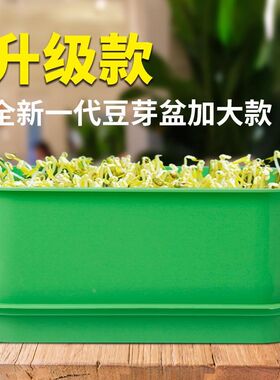 新盆绿豆花生家用发芽芽芽苗菜育苗豆芽发L升级机豆芽黄黑豆芽盆