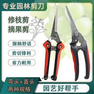 摘果剪花园果树专用园林修v花剪修枝剪蔬果稀果剪子锋利剪刀农用