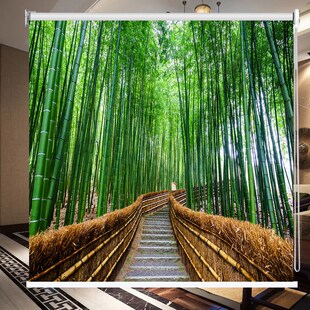 优质定做免打孔遮阳竹子富贵竹竹A林小道卷帘窗帘客厅书房浴室玄