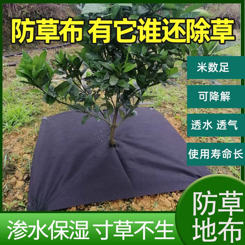 果园加厚地膜抗老化防草布除x草布农用打孔透气透水盖草布除草地