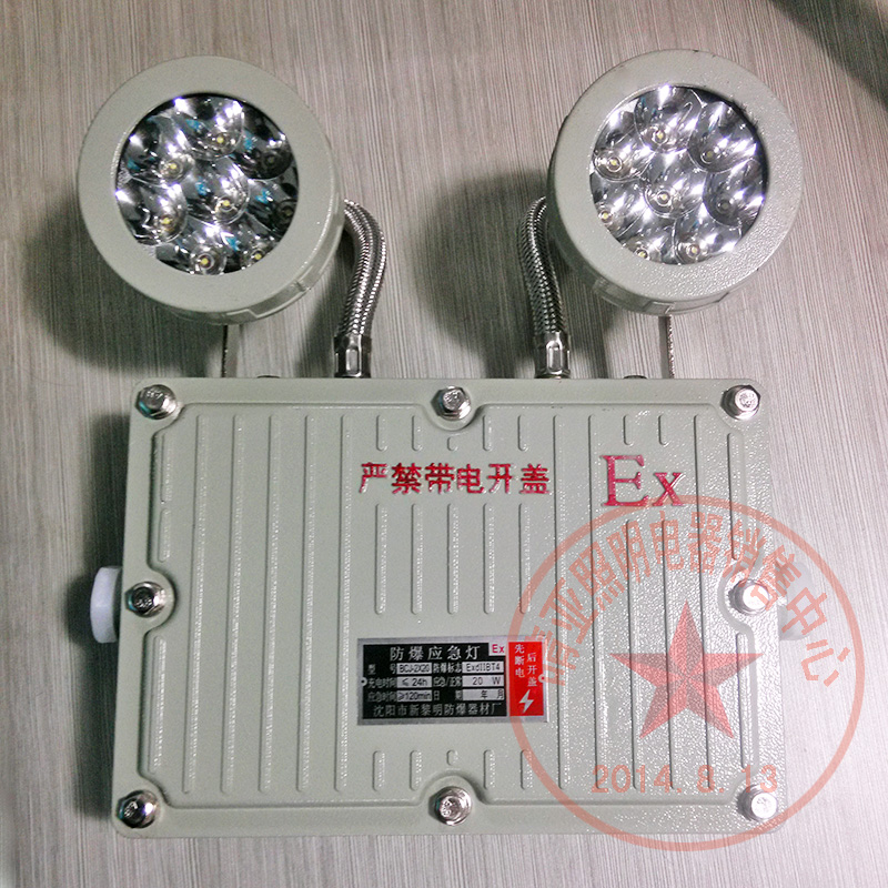 新黎明双头防暴应急灯LED照明节C能灯疏散指示标志灯灯具2*10W