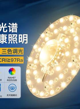LED吸顶灯灯芯圆灯盘光源灯板替换灯管12WH18W24W36W40W暖光黄光