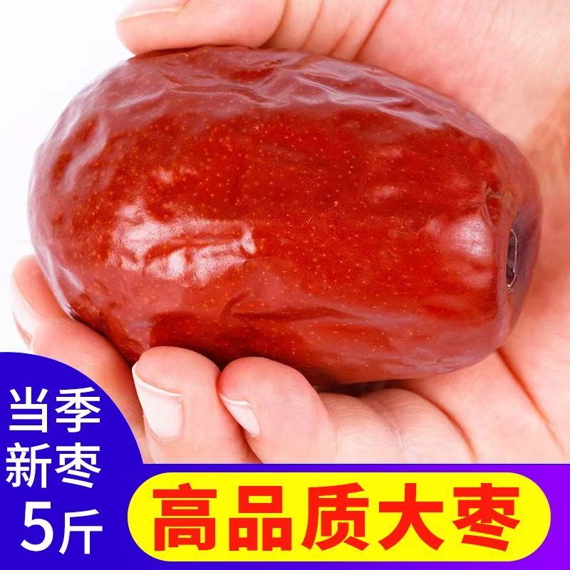 红枣大个超大号新疆和田大枣免洗骏枣六星和田大枣新货特一级整箱