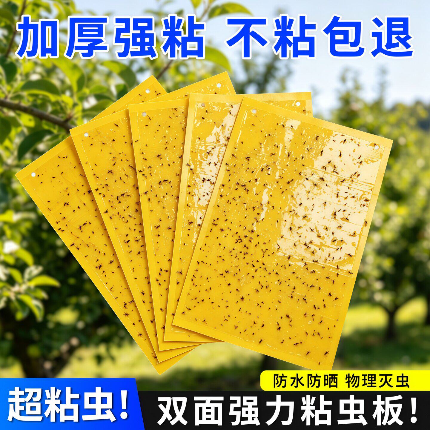 黄板双面粘虫板贴纸强力粘捕小飞虫沾果蝇诱捕获器捉蚊子苍蝇大棚