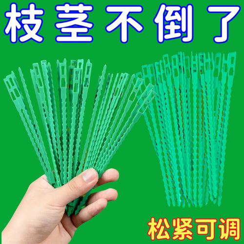 可调节鱼骨扎带捆绑线多用途园林绑树藤蔓植物固定园艺可拆卸扎线