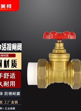 正品埃美柯PPR闸阀热熔管开关阀门铜芯自来水冷热水阀门7650灰色