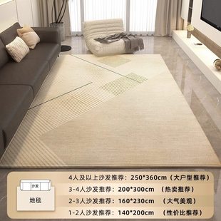 2024网红高级风客厅地毯进门地垫茶几毯轻奢沙发卧室家用 极简新款