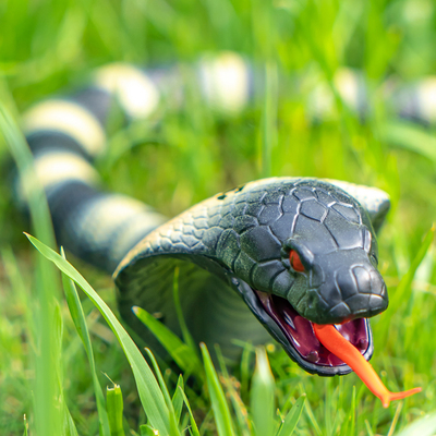 儿童男孩子的生日礼物益智男生玩具8岁至9以上7六6一13W男童12小1