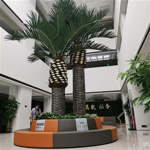 人造大型仿真棕榈树度假区装 饰蕨类玻璃钢软装 工程博物馆水泥大树
